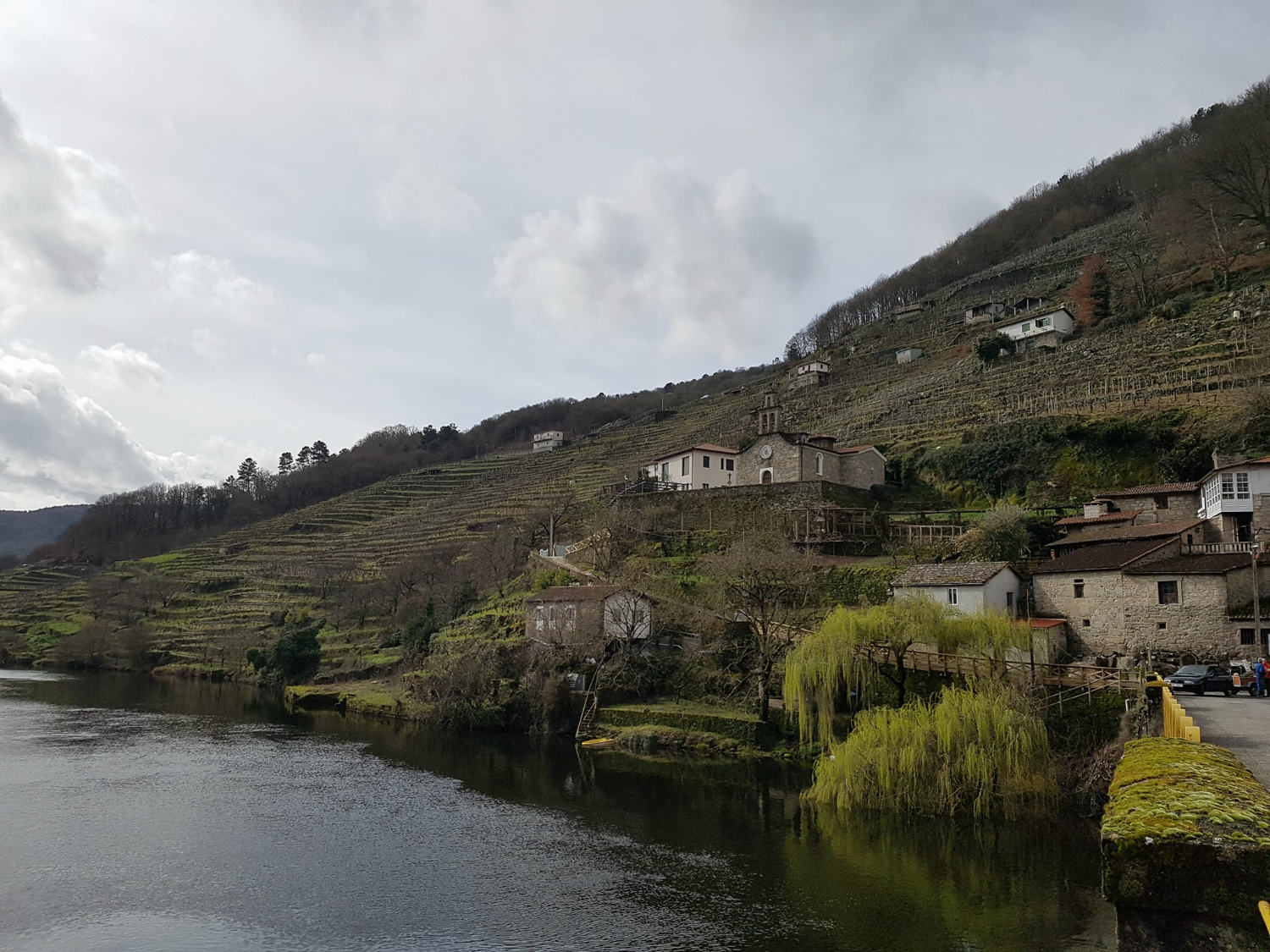 Camiño de Inverno